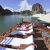 HALONG BAY TOUR 4 hours on Boat